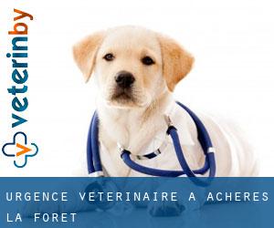 Urgence vétérinaire à Achères-la-Forêt