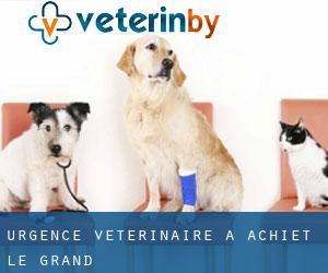 Urgence vétérinaire à Achiet-le-Grand