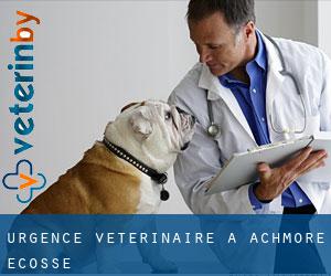 Urgence vétérinaire à Achmore (Ecosse)
