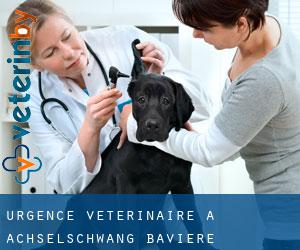 Urgence vétérinaire à Achselschwang (Bavière)