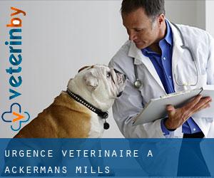 Urgence vétérinaire à Ackermans Mills