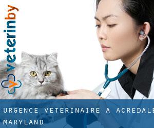 Urgence vétérinaire à Acredale (Maryland)