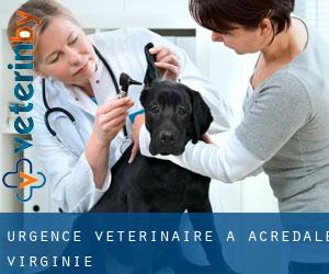 Urgence vétérinaire à Acredale (Virginie)