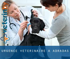 Urgence vétérinaire à Adradas