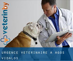 Urgence vétérinaire à Agos-Vidalos