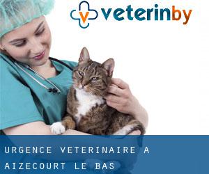 Urgence vétérinaire à Aizecourt-le-Bas