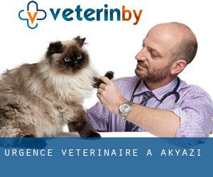 Urgence vétérinaire à Akyazı