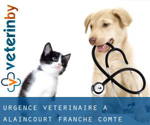 Urgence vétérinaire à Alaincourt (Franche-Comté)