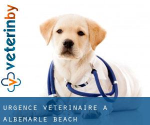 Urgence vétérinaire à Albemarle Beach