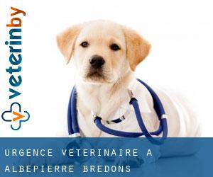 Urgence vétérinaire à Albepierre-Bredons