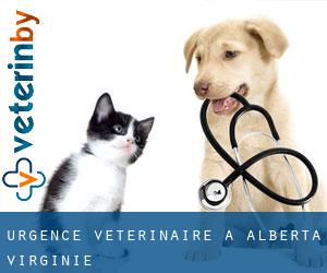 Urgence vétérinaire à Alberta (Virginie)