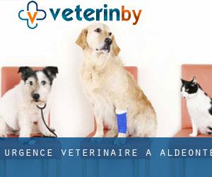 Urgence vétérinaire à Aldeonte