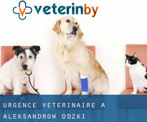 Urgence vétérinaire à Aleksandrów Łódzki