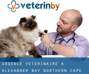 Urgence vétérinaire à Alexander Bay (Northern Cape)