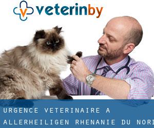 Urgence vétérinaire à Allerheiligen (Rhénanie du Nord-Westphalie)