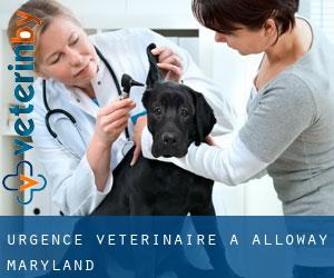 Urgence vétérinaire à Alloway (Maryland)