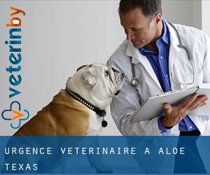Urgence vétérinaire à Aloe (Texas)