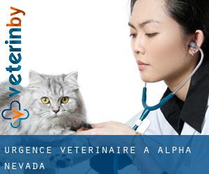 Urgence vétérinaire à Alpha (Nevada)