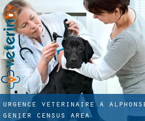 Urgence vétérinaire à Alphonse-Génier (census area)
