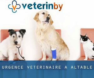 Urgence vétérinaire à Altable