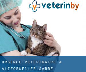 Urgence vétérinaire à Altforweiler (Sarre)