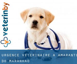 Urgence vétérinaire à Amarante do Maranhão