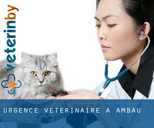 Urgence vétérinaire à Ambau