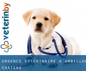 Urgence vétérinaire à Ambillou-Château