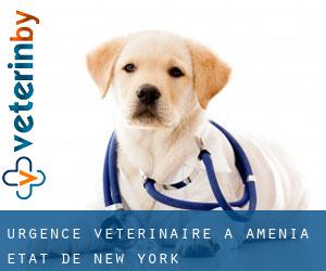 Urgence vétérinaire à Amenia (État de New York)