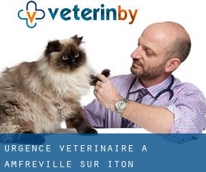 Urgence vétérinaire à Amfreville-sur-Iton