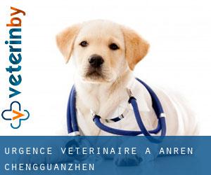 Urgence vétérinaire à Anren Chengguanzhen