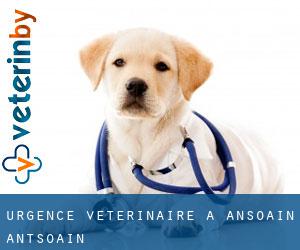 Urgence vétérinaire à Ansoáin / Antsoain