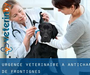 Urgence vétérinaire à Antichan-de-Frontignes