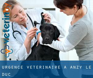 Urgence vétérinaire à Anzy-le-Duc