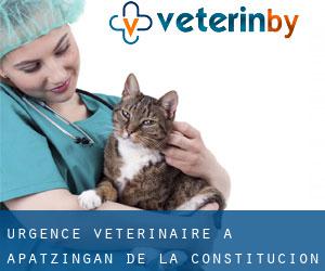 Urgence vétérinaire à Apatzingán de la Constitución