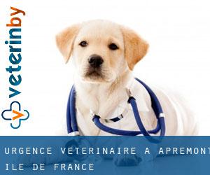 Urgence vétérinaire à Apremont (Île-de-France)