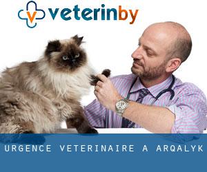 Urgence vétérinaire à Arqalyk