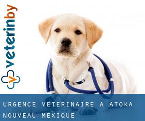Urgence vétérinaire à Atoka (Nouveau-Mexique)