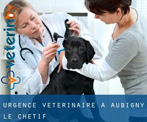 Urgence vétérinaire à Aubigny-le-Chétif