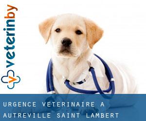 Urgence vétérinaire à Autréville-Saint-Lambert