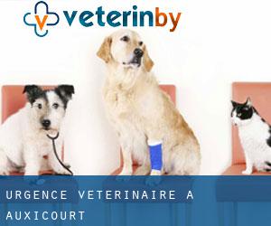 Urgence vétérinaire à Auxicourt