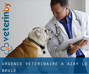 Urgence vétérinaire à Azay-le-Brûlé