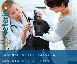 Urgence vétérinaire à Babbatasset Village