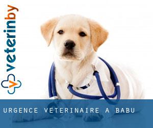 Urgence vétérinaire à Babu