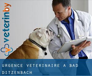 Urgence vétérinaire à Bad Ditzenbach