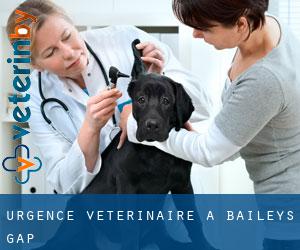 Urgence vétérinaire à Baileys Gap