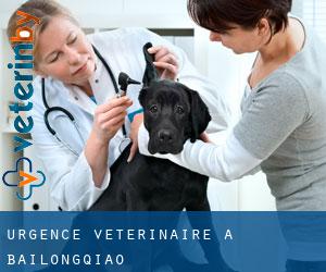 Urgence vétérinaire à Bailongqiao