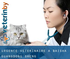 Urgence vétérinaire à Baisha (Guangdong Sheng)