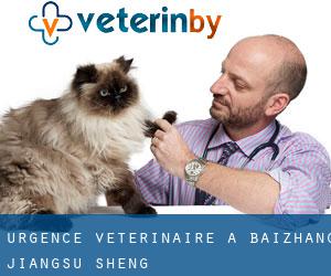 Urgence vétérinaire à Baizhang (Jiangsu Sheng)