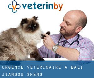 Urgence vétérinaire à Bali (Jiangsu Sheng)